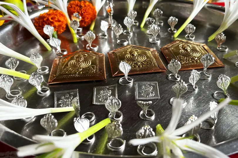 kalsarp pooja trimbkawshwar