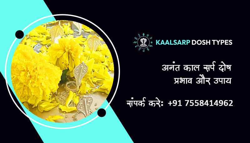 अनंत काल सर्प दोष प्रभाव और उपाय