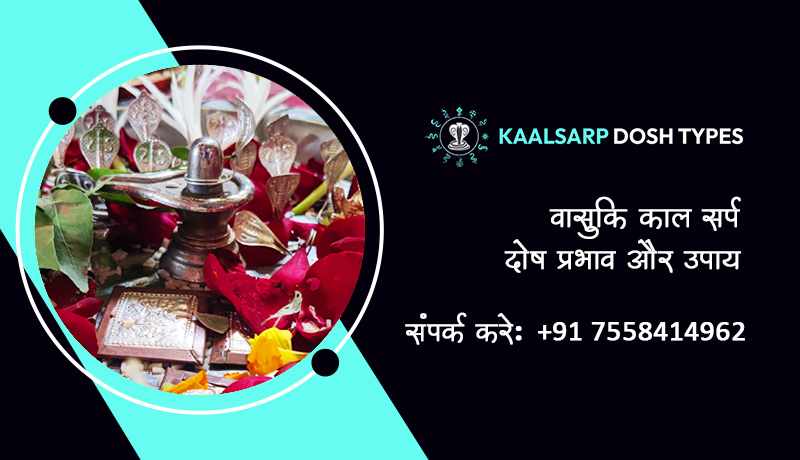 वासुकि काल सर्प दोष प्रभाव और उपाय